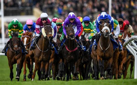 cheltenham festival runners